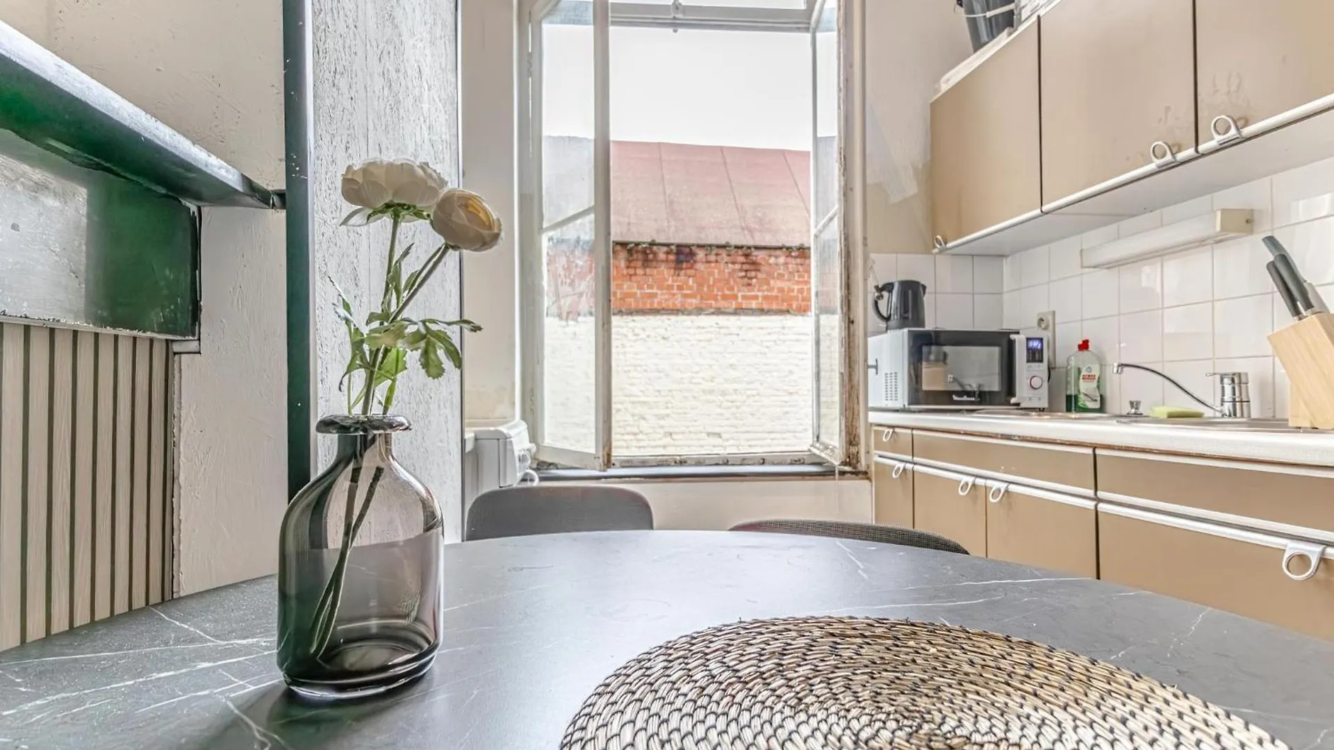 Modern Connected 6 Studios In The Heart Of Ghent Belgium