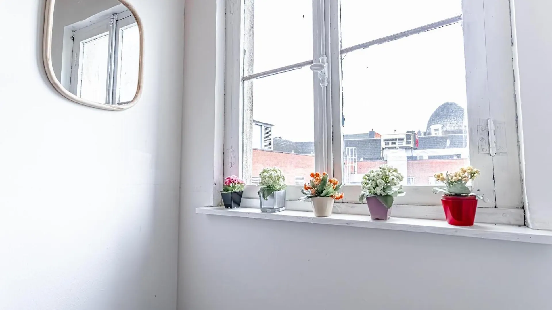 Modern Connected 6 Studios In The Heart Of Ghent Apartment